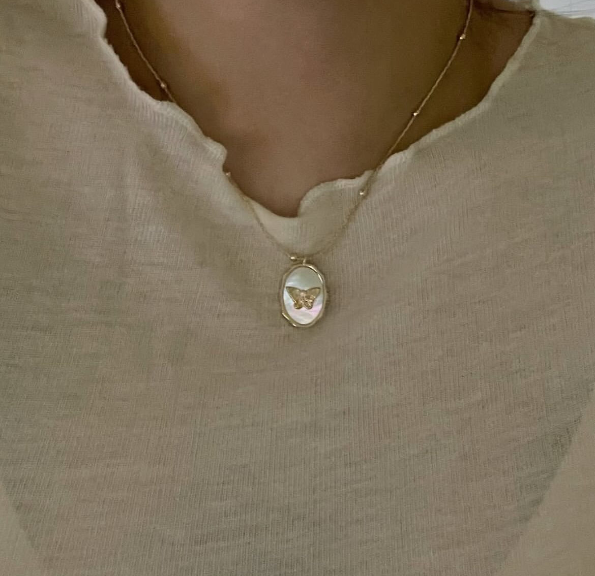 Secret Butterfly Locket Necklace