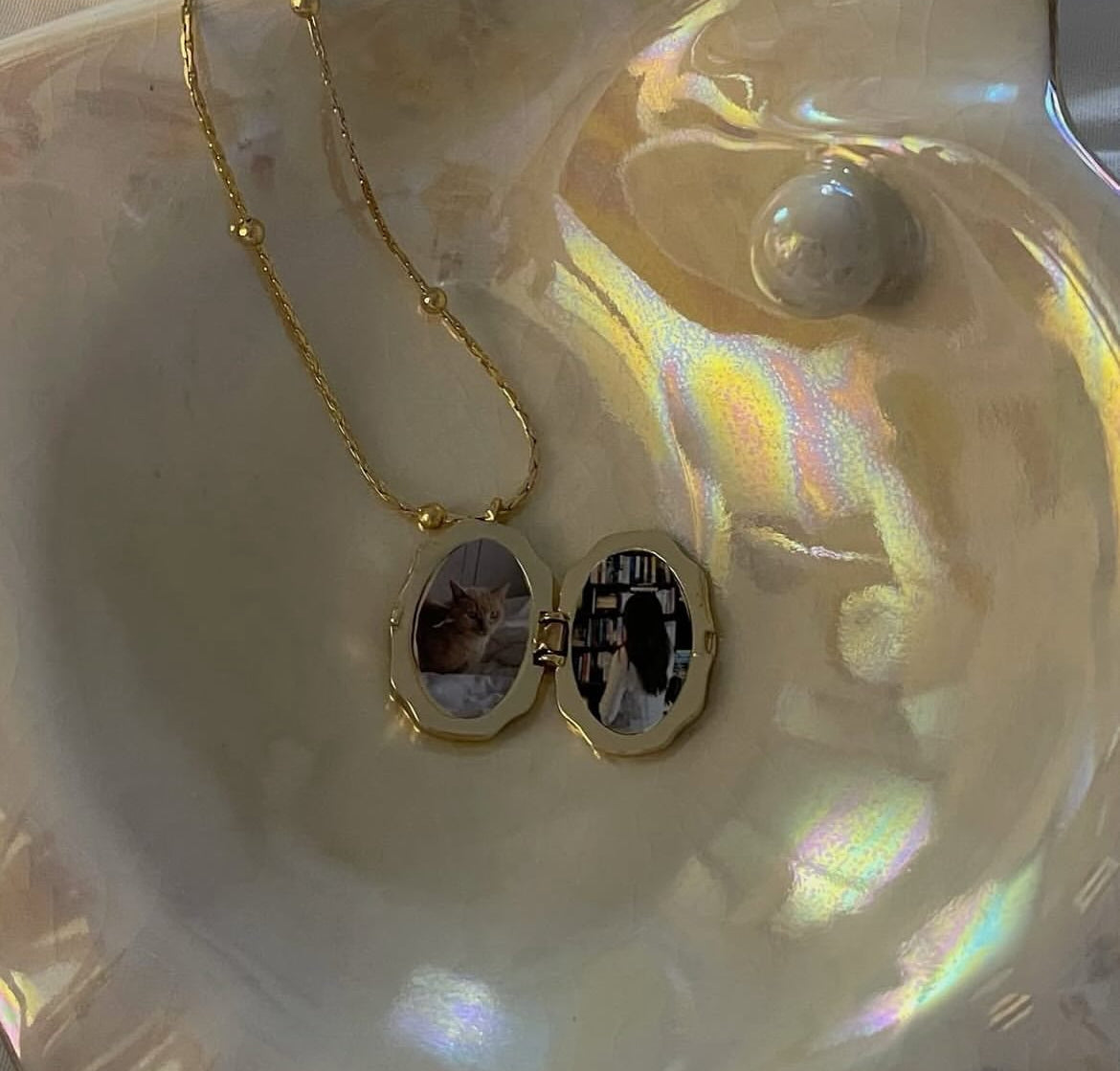 Secret Butterfly Locket Necklace